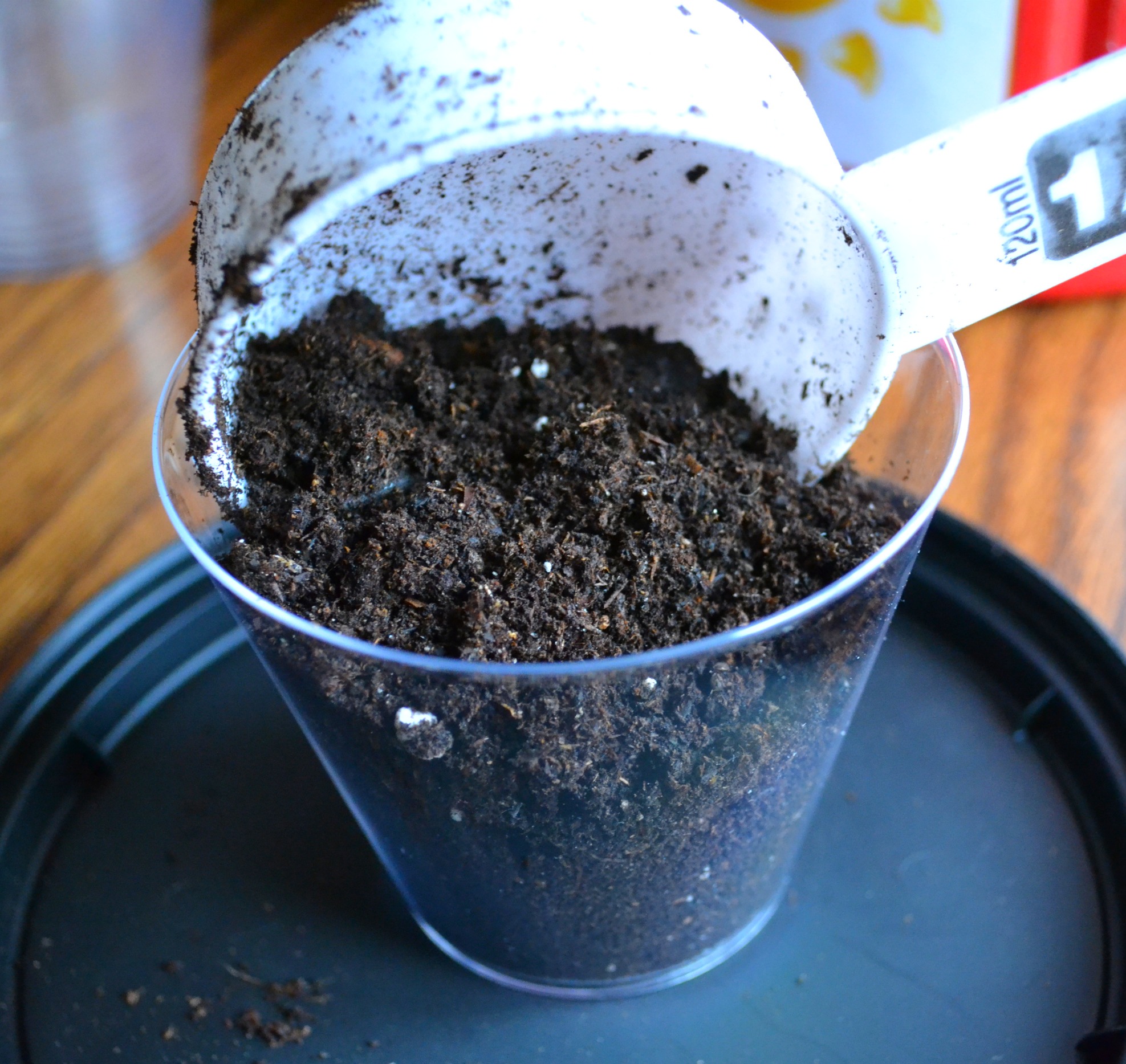 a-cup-of-spring-planting-seeds-for-spring