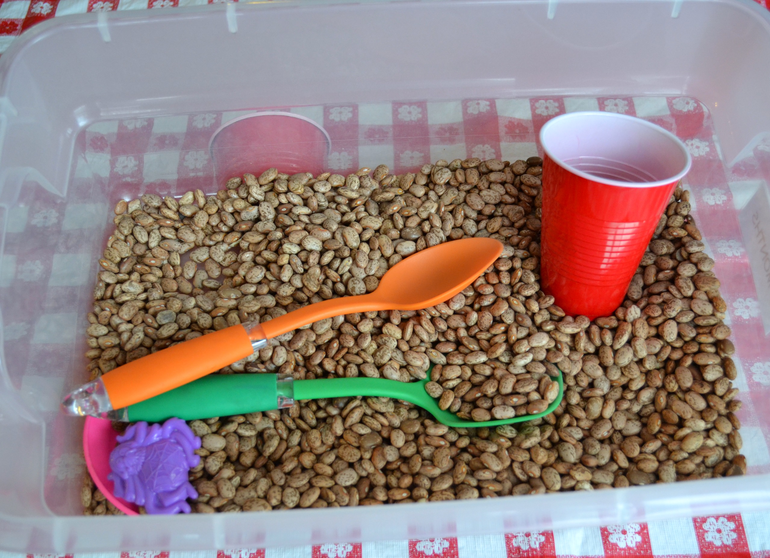 Risultati immagini per plastic container with lid with beans